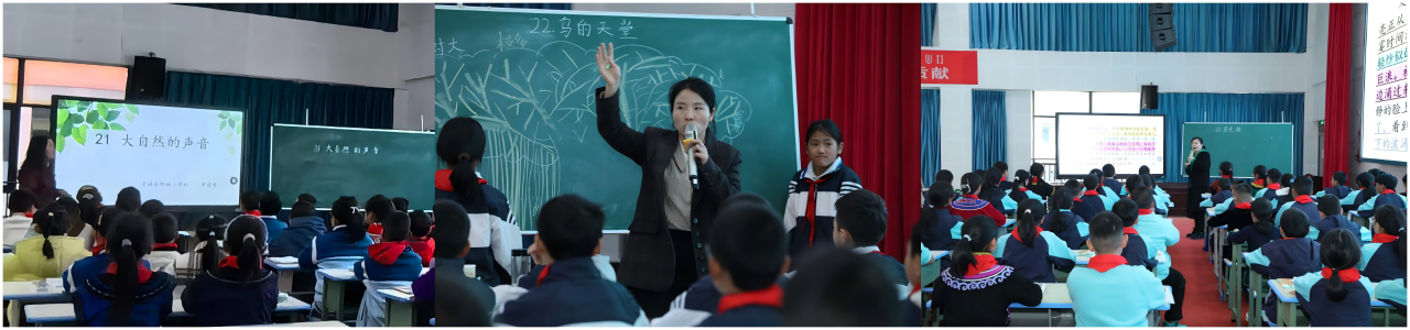 3图三.png